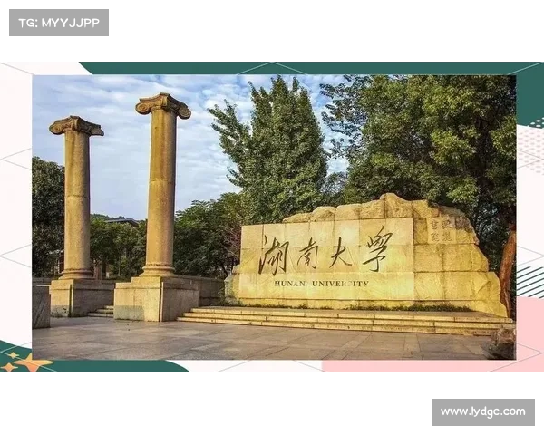 深度解析暗流之主的最佳出装与高效战术策略全面指南 深度解析暗流之主的最佳出装与高效战术策略全面指南