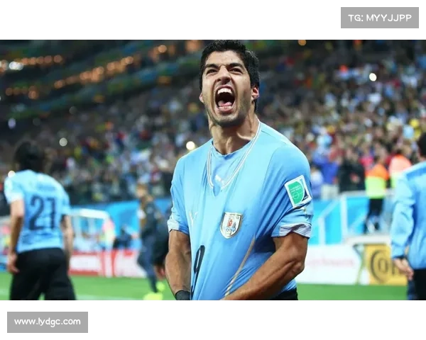 为何苏亚雷斯总被误解与争议缠身深度解析其招黑根源