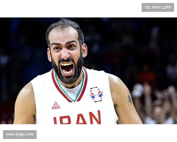 哈达迪为何不退役深度剖析其持续征战背后的真实动因